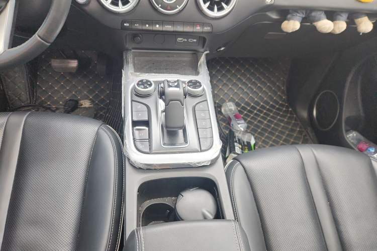 Used Tank 300 2024 2.0T Conqueror
