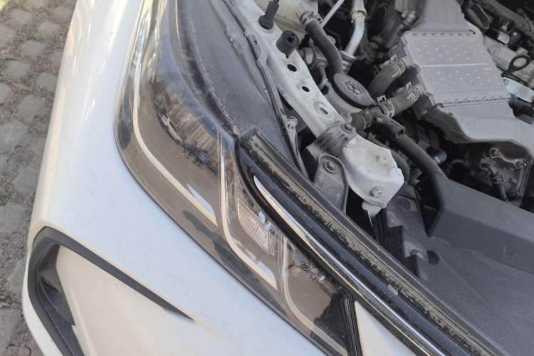 Used Toyota Corolla 2021 1.2T S-CVT Luxury Edition
