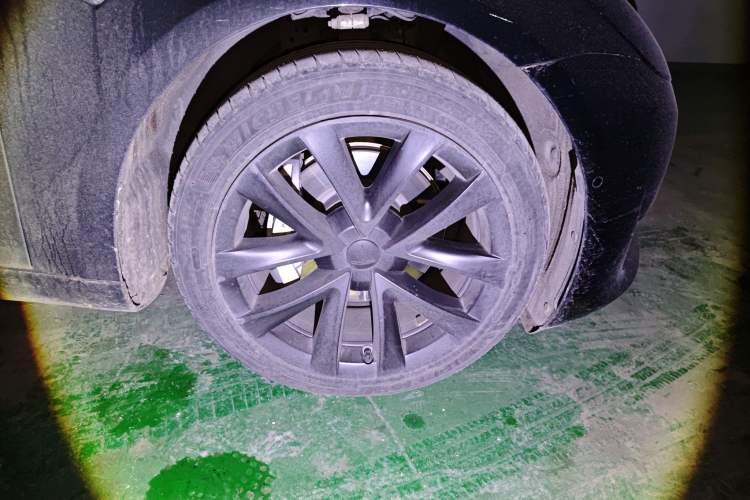 Used Tesla Model 3 2021 Standard Range Rear-Wheel Drive Upgraded Version 3D6
