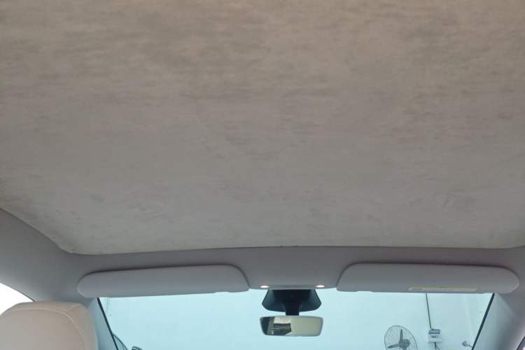 Used Tesla Model Y 2025 Rear-Wheel Drive First Edition