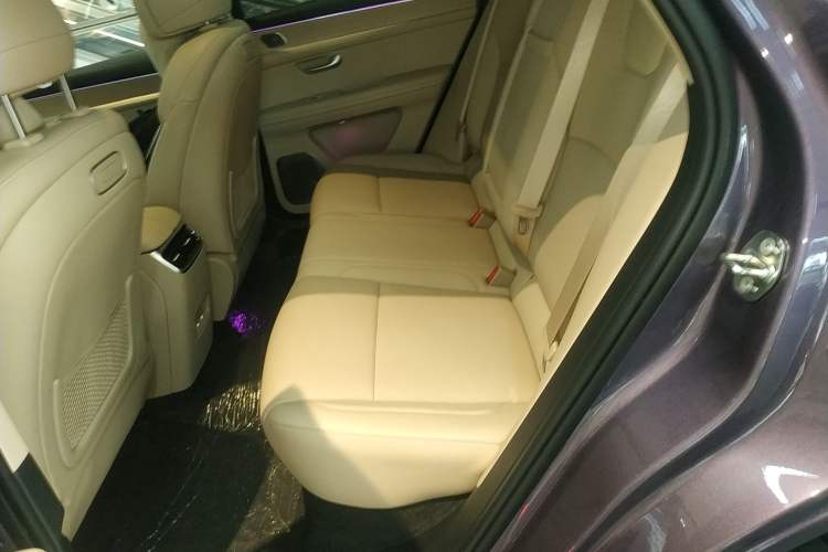 Used Hima AITO M5 2025 Extended-Range Ultra All-Wheel-Drive Version Left Rear Seat