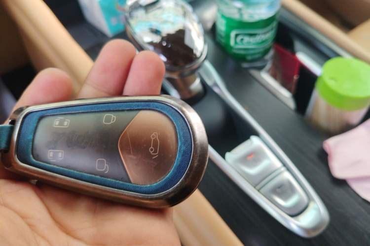 Used VOYAH Dream 2024 PHEV Extended-Range Premium Edition
