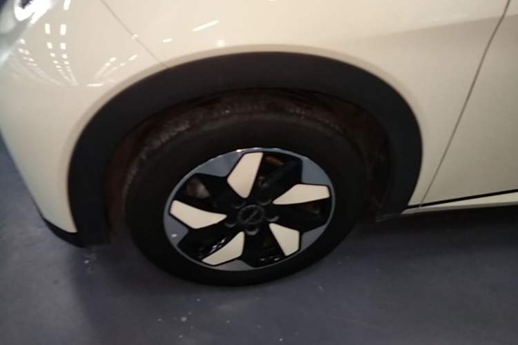 Used BYD Dolphin 2024 Honor Edition 420km Freedom Version