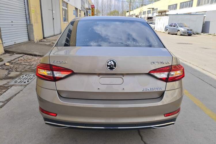Used Skoda Octavia 2019 1.5L Automatic Luxury Edition Rear