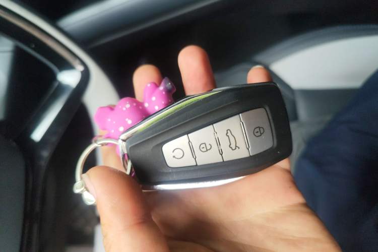 Used Geely Auto FX11 2024 1.5TD DCT Dragon Edition
