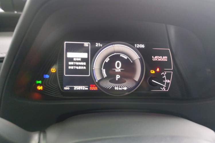 Used Lexus UX New Energy 2020 300e Pure·Joy Edition
