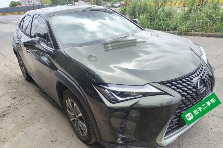 Used Lexus UX New Energy 2020 300e Pure·Joy Edition Exterior 2