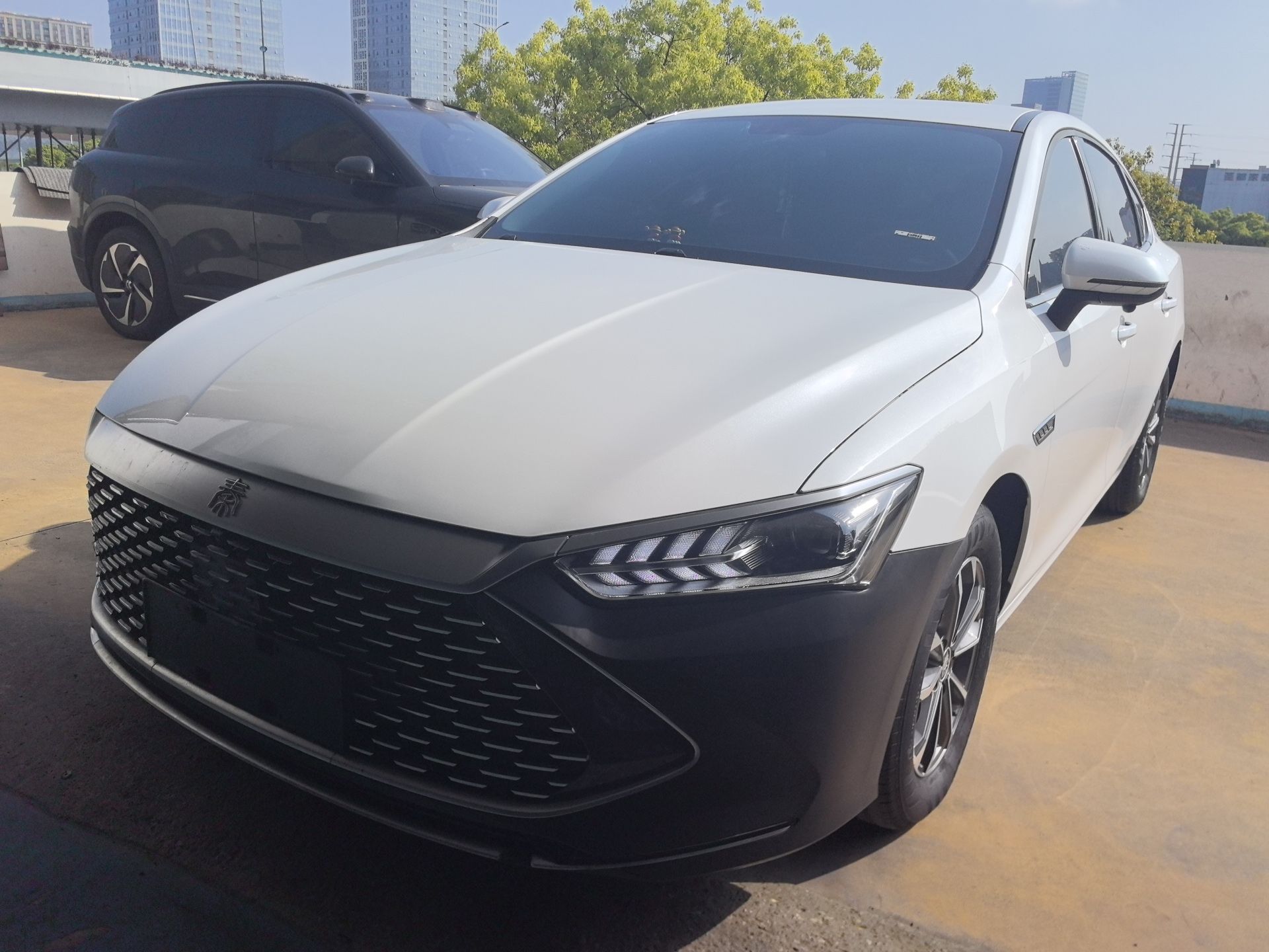 Parte inferior delantera