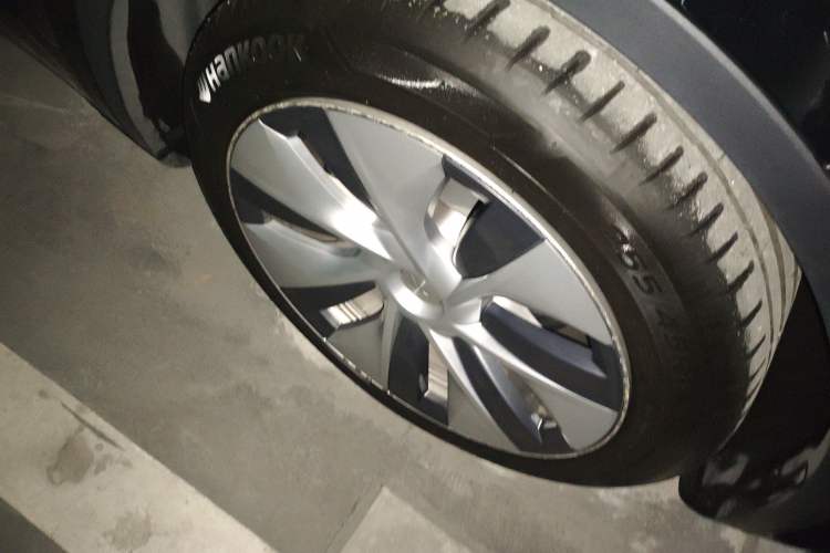 Used Tesla Model Y 2021 Standard Range Rear-Wheel Drive Version
