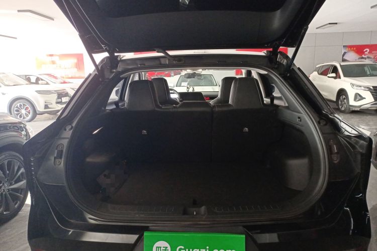 Used Venucia V 2023 260T Black Horse Edition Pro Trunk