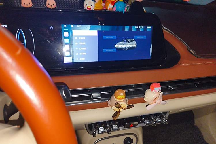 Used ORA Good Cat 2023 401 km Standard Range Luxury Version Lithium Iron Phosphate