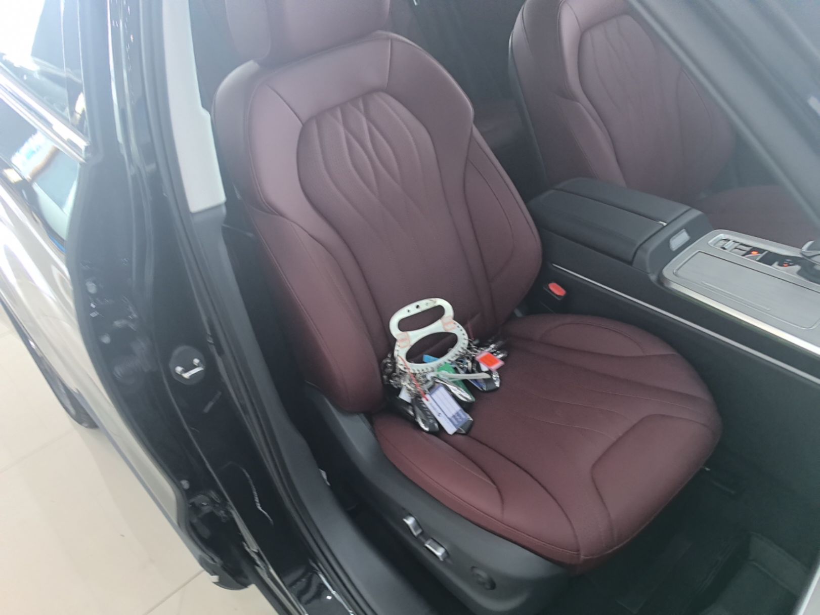 Hongqi HS5 2025 2.0T Two-Wheel Drive Flagship Pro Edition - Chinese Trim Xiang — снимка 19