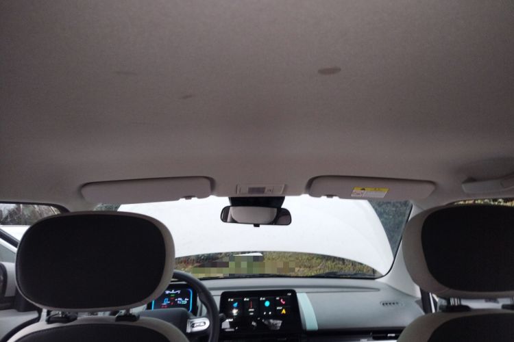 Used Qiyuan Lumin 2025 205 km Xiangqin Version