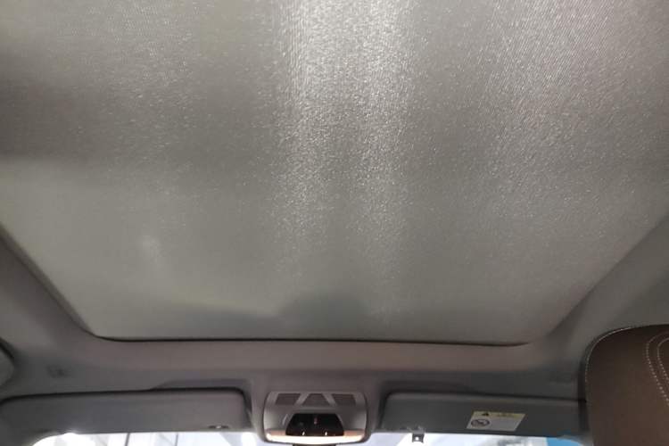 Used BMW X1 2021 sDrive20Li Premium Edition Headliner