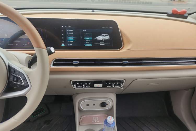 Used ORA Good Cat 2024 401 km Luxury Version