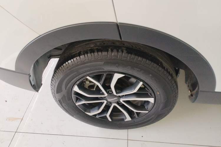 Used Haval H6 2023 National Trend Edition 1.5T Automatic Urban Version
