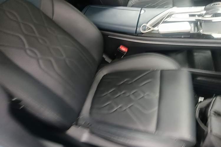 Used VOYAH FREE 2021 Two-Wheel Drive Standard Pure Electric City Edition