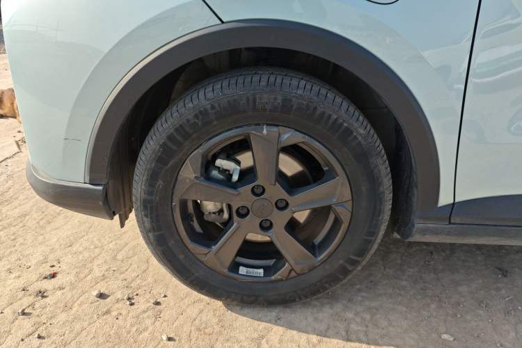 Used Geometry E Firefly 2022 401 km Linglong Tiger 4 Seats