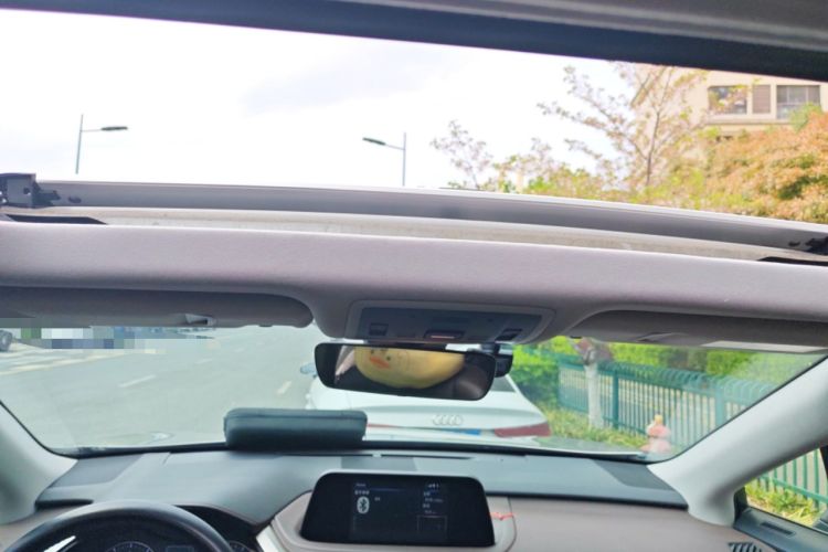 Used Lexus RX 2020 300 Two-Wheel Drive Comfort Edition China VI Standard Headliner