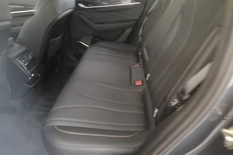 Used Geely Auto Monjaro L 2024 2.0TD DCT EVO Two-Wheel Drive Long-Range Version Left Rear Seat