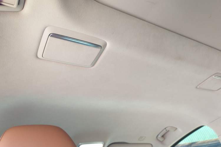 Used Hongqi HQ9 2023 2.0T Smart Connect Flagship Edition
