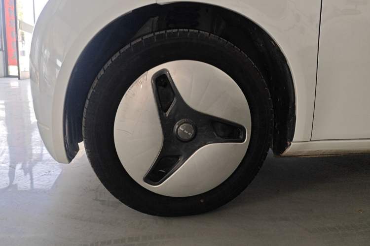 Used ORA White Cat 2020 360km Standard Version
