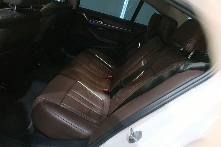 Used BMW 5 Series New Energy 2020 530Le Pioneer Edition
