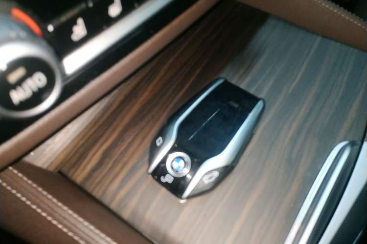 Used BMW 5 Series New Energy 2020 Mileage Upgrade Version 530Le Pioneer Edition
