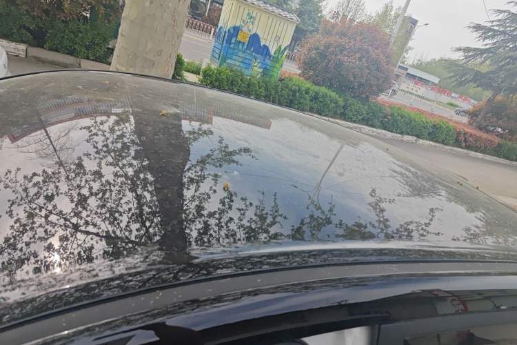 Used Wuling Bingo S 2025 Model 325km Flagship Edition
