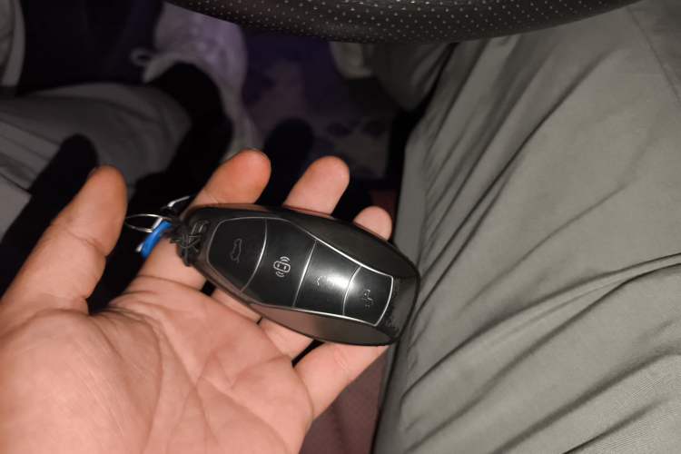 Used Hongqi H5 2025 2.0T Automatic Flag Edition – 500 000 Units Commemorative Version
