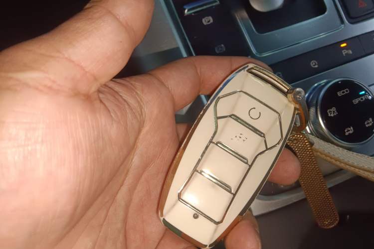 Used Denza X 2020 PHEV Sport Edition
