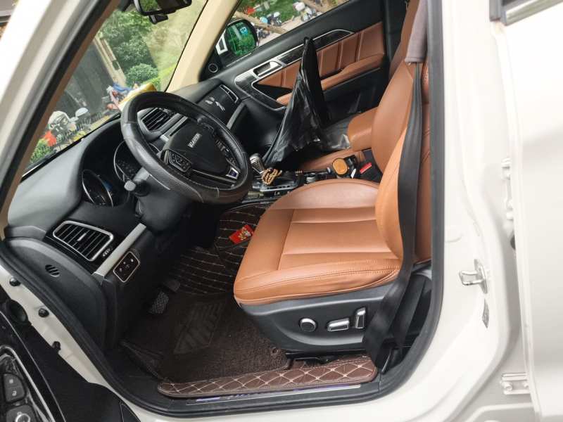Used Haval H6 Coupe 2016 Blue Label 1.5T Automatic Two-Wheel Drive Elite Model — 16