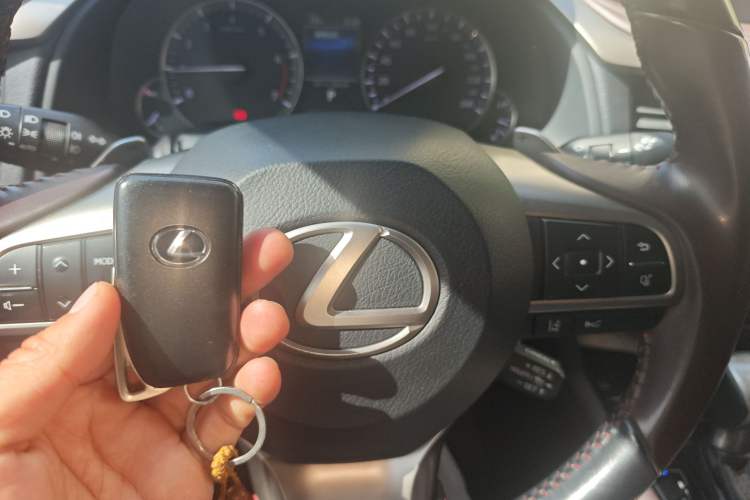 Used Lexus RX 2020 300 4x4 Elegant Edition China VI