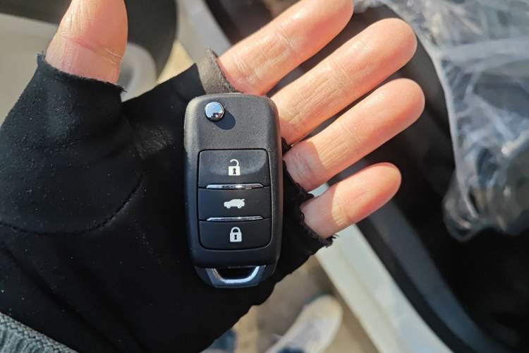 Used Qiyuan Lumin 2025 205 km Xiangqin Version
