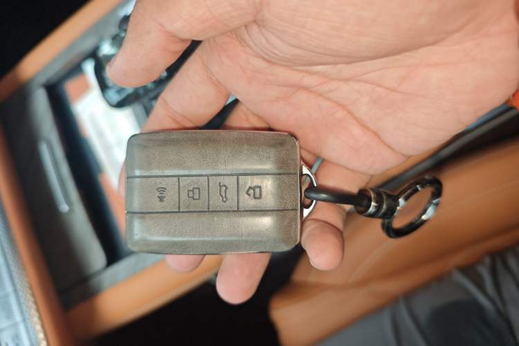 Used Tank 500 New Energy 2024 Hi4-T
