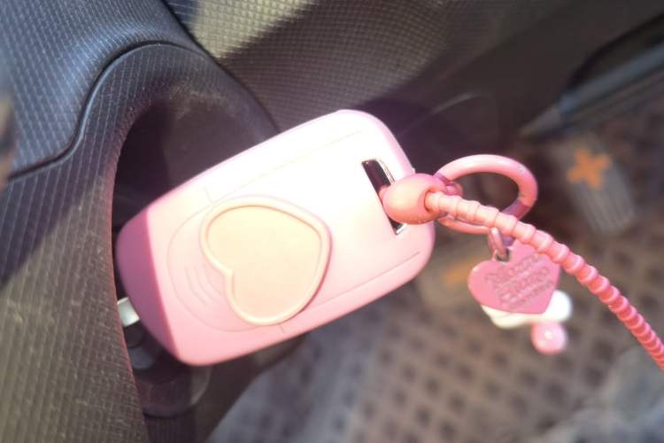 Used Wuling Hongguang MINIEV 2022 Zizai Version Lithium Iron Phosphate Vehicle Key