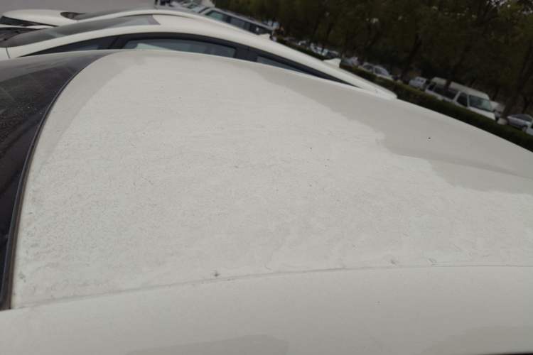 Used BYD Dolphin 2025 Smart Drive Version 420 km Freedom Edition