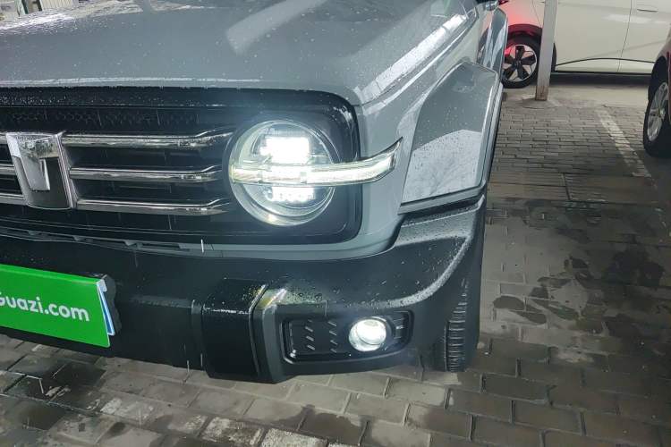 Used Tank 300 2024 2.0T Crosser