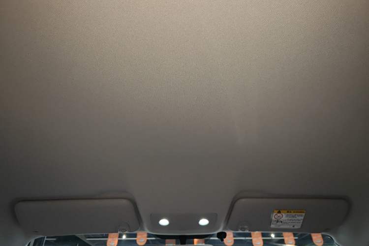 Used Leapmotor T03 2024 200 Lite Edition Headliner