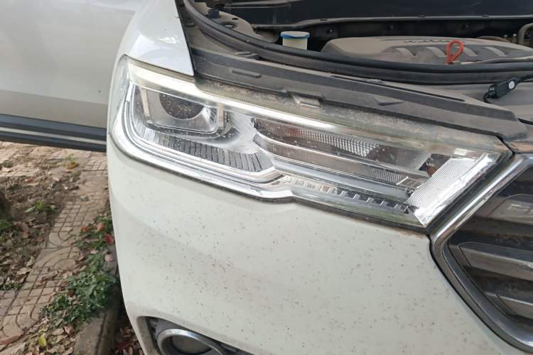 Used Haval H6 2017 Blue Label 1.3T Automatic Two-Wheel Drive ZhiShang Model Right Front Headlight