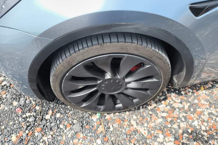 Used Tesla Model Y 2022 Performance High-Performance All-Wheel-Drive Version Exterior 4