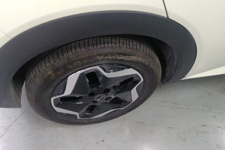 Used BYD Dolphin 2025 Smart Drive Version 420 km Freedom Edition
