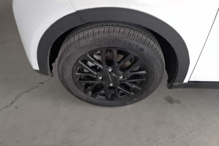 Used Chery Little Ant 2024 Revised Version Youth Edition 251 km True Love Edition 25.05 kWh Exterior 4