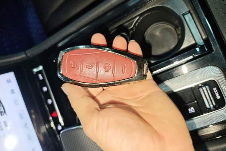 Used Hongqi H5 2025 2.0T Automatic Flag Edition – 500 000 Units Commemorative Version
