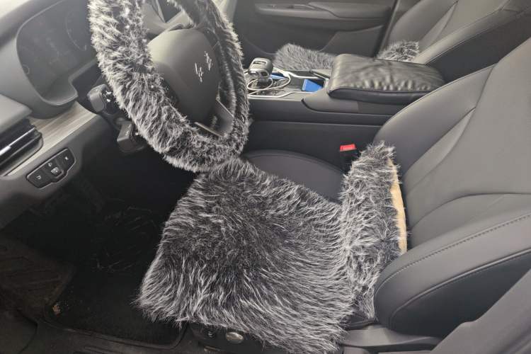 Used Hongqi E-QM5 2024 610 km PLUS Left Front Seat