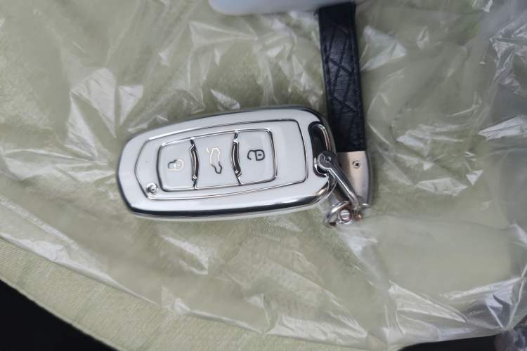 Used Geely Galaxy Panda 2024 Panda Mini 200km Endurance Bear Vehicle Key