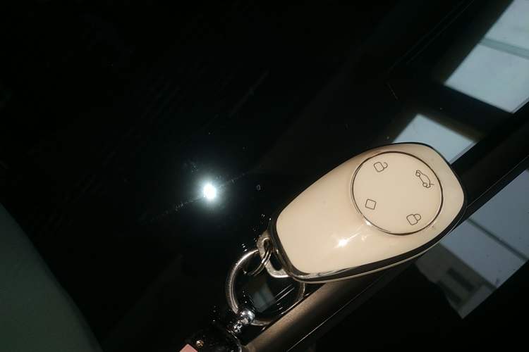 Used Leapmotor T03 2021 400 Lite Edition Lithium Iron Phosphate
