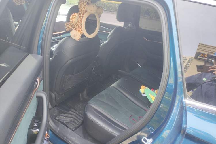 Used Geely Auto Monjaro L 2021 2.0TD DCT EVO Two-Wheel Drive Smart Luxury Version Left Rear Seat