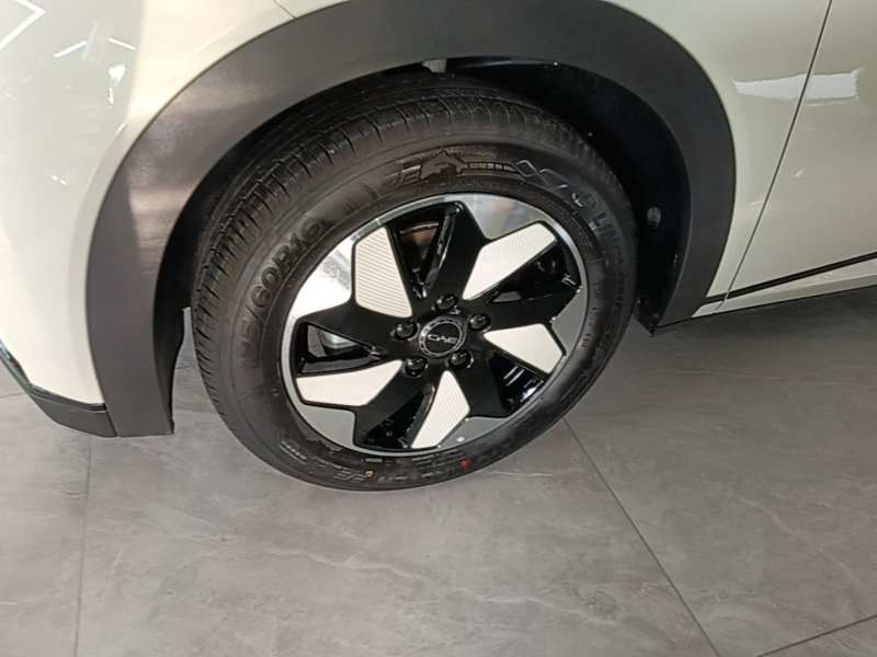 Used BYD Dolphin 2025 420km Free Edition — 22
