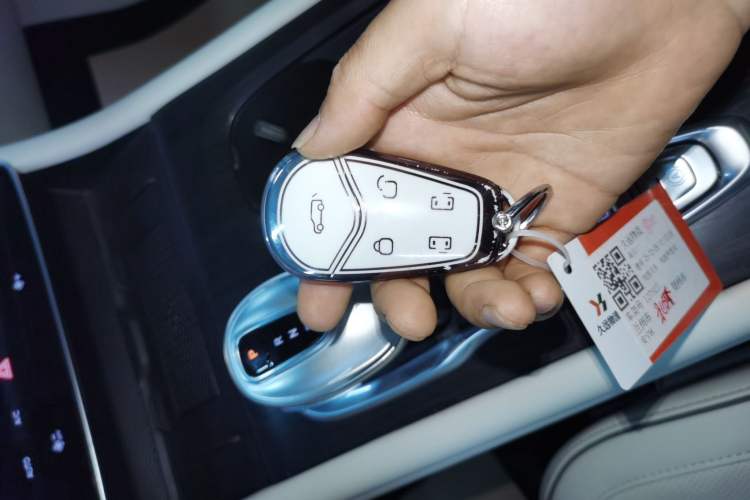 Used VOYAH Dream 2024 PHEV Ultra-Long Range Flagship Edition
